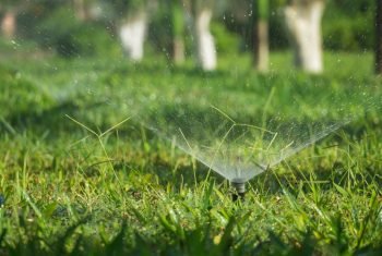 Efficient Lawn Irrigation Systems A sprinkler head watering lush green grass with a fine mist against a backdrop of